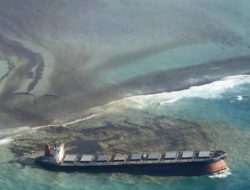 Marine Cloud Berguna untuk Pengelolaan Pesisir yang Lebih Modern