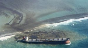 Marine Cloud Berguna untuk Pengelolaan Pesisir yang Lebih Modern