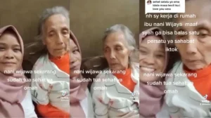 ART Yang Viralkan Kondisi Nani Wijaya Tanpa Izin Langsung Dipecat