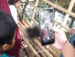 Polisi Pastikan Mayat Bayi dalam Kresek di Cipondoh Dibuang Orang Tuanya