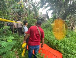 Mahasiswa di Rajeg Tangerang Tewas Tergantung di Pohon Mangga