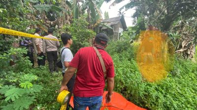 Mahasiswa di Rajeg Tangerang Tewas Tergantung di Pohon Mangga