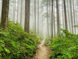 6 Tempat Wisata yang Harus Di Hindari Saat Musim Hujan