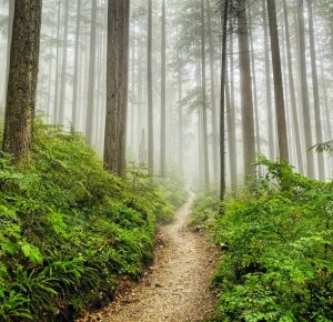 6 Tempat Wisata yang Harus Di Hindari Saat Musim Hujan