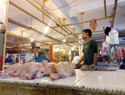 Jelang Nataru, Harga Daging Ayam di Pasar Tangerang Malah Turun