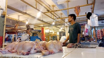 Jelang Nataru, Harga Daging Ayam di Pasar Tangerang Malah Turun