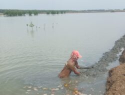 Petambak di Kemiri Tangerang Keluhkan Akses Jalan Buruk hingga Pertumbuhan Ikan