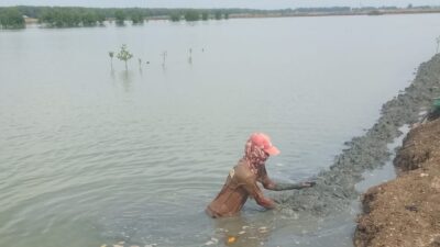 Petambak di Kemiri Tangerang Keluhkan Akses Jalan Buruk hingga Pertumbuhan Ikan