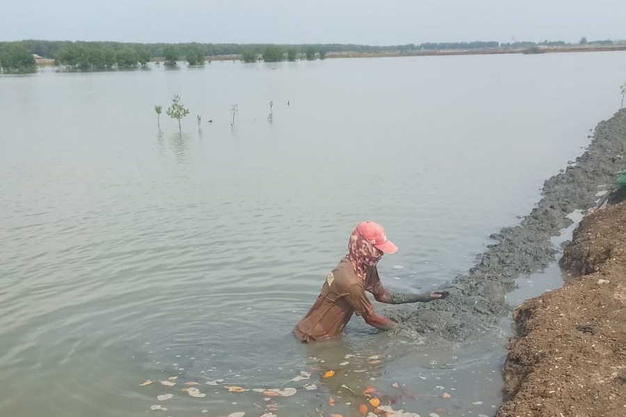 Petambak di Kemiri Tangerang Keluhkan Akses Jalan Buruk hingga Pertumbuhan Ikan