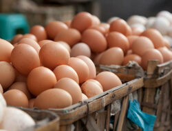 Harga Telur Mencapai Rp 30 ribu Per-kg di Pasar Kabupaten Tangerang