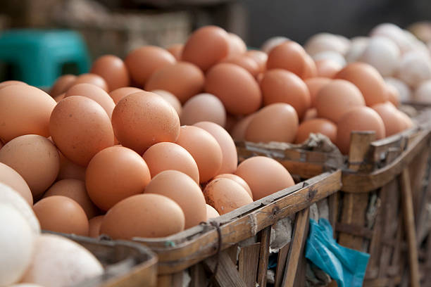 Sempat Melonjak, Harga Telur Ayam di Tangsel Kembali Stabil