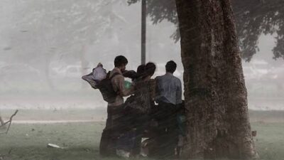 Alasan Kenapa Jangan Berteduh di Bawah Pohon saat Hujan