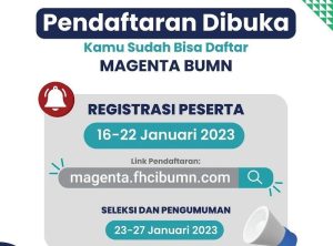 Syarat dan Cara Daftar Program Magenta BUMN, Bisa Magang di Kantor Erick Thohir