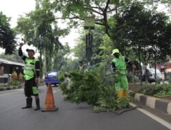 Cara Klaim Asuransi Korban Pohon Tumbang di Kota Tangerang