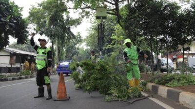 Begini Cara Klaim Asuransi Korban Pohon Tumbang di Kota Tangerang