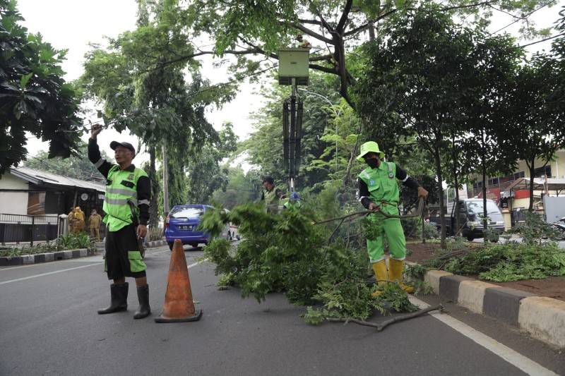 Begini Cara Klaim Asuransi Korban Pohon Tumbang di Kota Tangerang