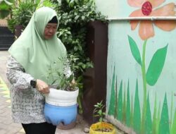 Emak-emak di Tangerang Sulap Galon Bekas Jadi Pot Cantik 
