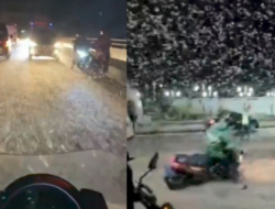 Aneh, Ribuan Laron Bak Hujan Salju Penuhi Jalan di Magelang Jawa Tengah
