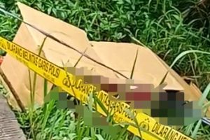 Ditemukan Koper Merah Berisi Mayat yang Dimutilasi di Tenjo Bogor