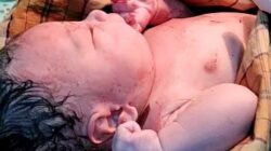Bayi Baru Lahir Ditemukan di Semak-semak Panongan Tangerang