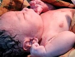 Bayi Baru Lahir Ditemukan di Semak-semak Panongan Tangerang