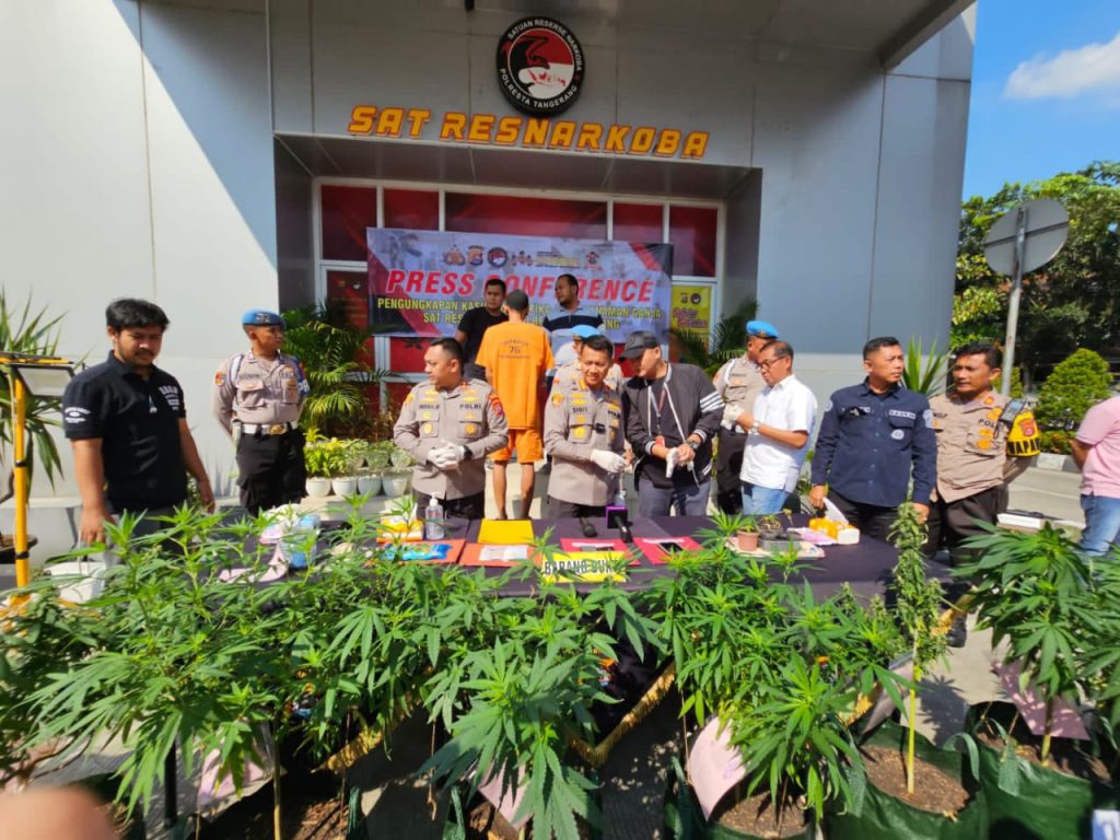 Seorang Fotografer Tanam Ganja Dalam Rumah di Sindang Jaya Tangerang