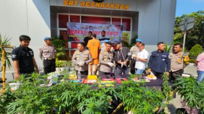 Seorang Fotografer Tanam Ganja Dalam Rumah di Sindang Jaya Tangerang
