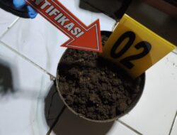 Heboh! Butiran Amunisi Ditemukan di Pot Tanaman Warga Rajeg Tangerang