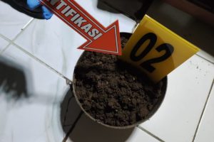 Heboh! Butiran Amunisi Ditemukan di Pot Tanaman Warga Rajeg Tangerang