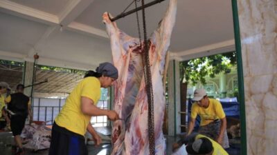 Begini, Cara Memilih Hewan Kurban yang Baik
