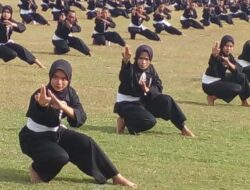 8 Perguruan Pencak Silat Terbesar di Indonesia