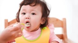 Cara Membuat Makanan Bayi 6 Bulan untuk Kecerdasan Otak