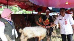Jelang Idul Adha, 100 Petugas Pemeriksa Hewan Kurban Disebar di Kabupaten Tangerang