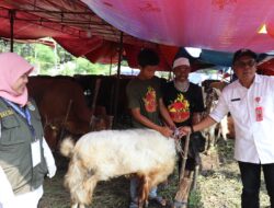 100 Petugas Pemeriksa Hewan Kurban Disebar di Kabupaten Tangerang