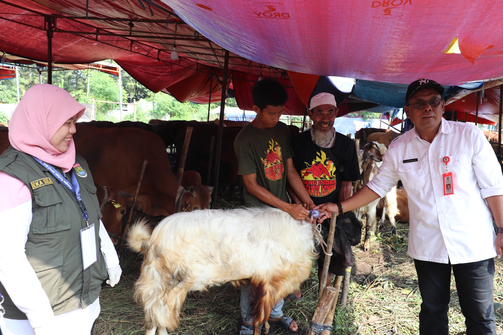 Jelang Idul Adha, 100 Petugas Pemeriksa Hewan Kurban Disebar di Kabupaten Tangerang