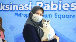 Pemilik Hewan Peliharaan Wajib Tahu, Begini Cara Vaksin Rabies Gratis di Kota Tangerang