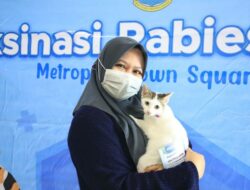 Pet Lover Wajib Tahu, Ini Cara Vaksin Rabies Gratis di Kota Tangerang