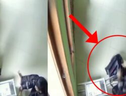Viral, Pria Pakai Jas Hujan Maling Uang Kotak Amal di Pinang Tangerang