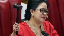 DPR RI Komentari Kasus KDRT Suami Aniaya Istri Hamil di Serpong Tangsel: Polisi Harus Tegas