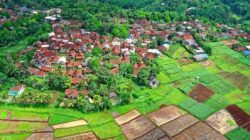 Inspirasi Bisnis Kreatif bagi Anak Muda di Desa