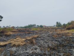 5 Hektar Lahan Sawah Kering di Kresek Tangerang Terbakar