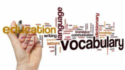 Apa Itu Vocab dalam Bahasa Inggris