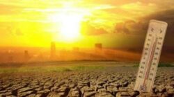 BMKG Sebut 9 Kecamatan di Tangerang Terancam Kekeringan Imbas Kemarau El Nino