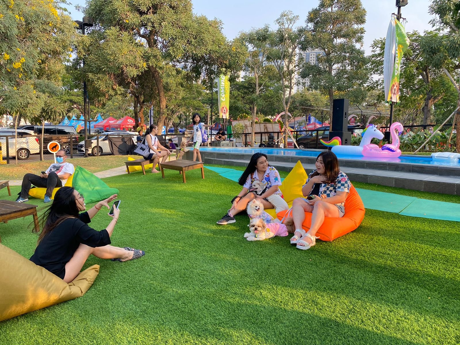 Paws Dog Dream Park Hadir di SMS Tangerang, Tempat Main Seru Bersama Anabul