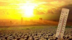 BPBD Tangerang Beri Tips Antisipasi Dampak Kemarau Panjang El Nino
