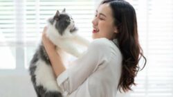 Rekomendasi Binatang Peliharaan di Rumah