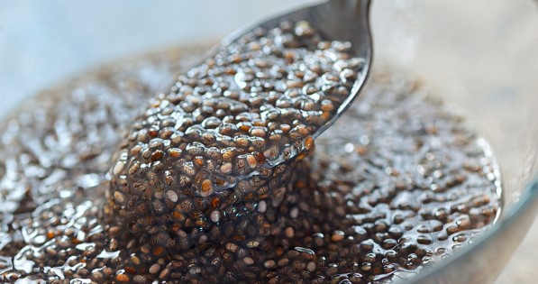 Selai Chia Seed