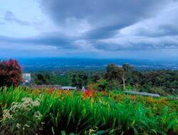 7 Tempat Wisata Pandeglang yang Lagi Viral Terbaru