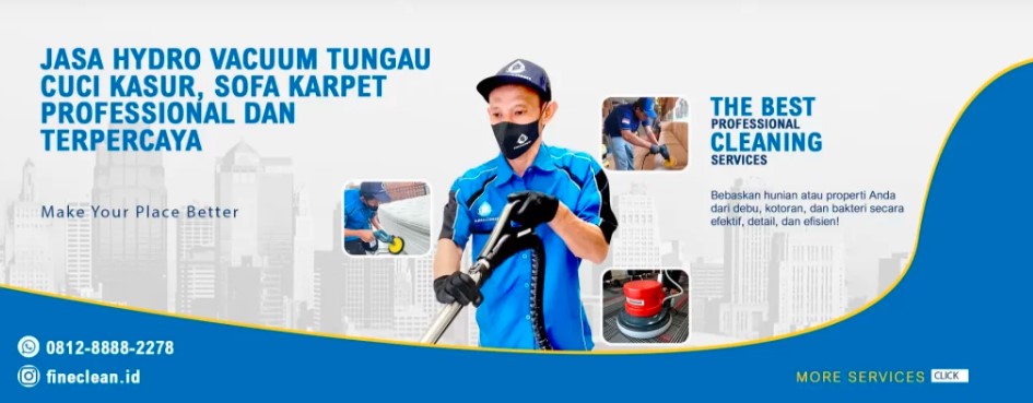 Finecleanid 2