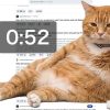 Cara Pasang Cat Gatekeeper, Ekstensi Kucing Oren Pencegah Doomscrolling